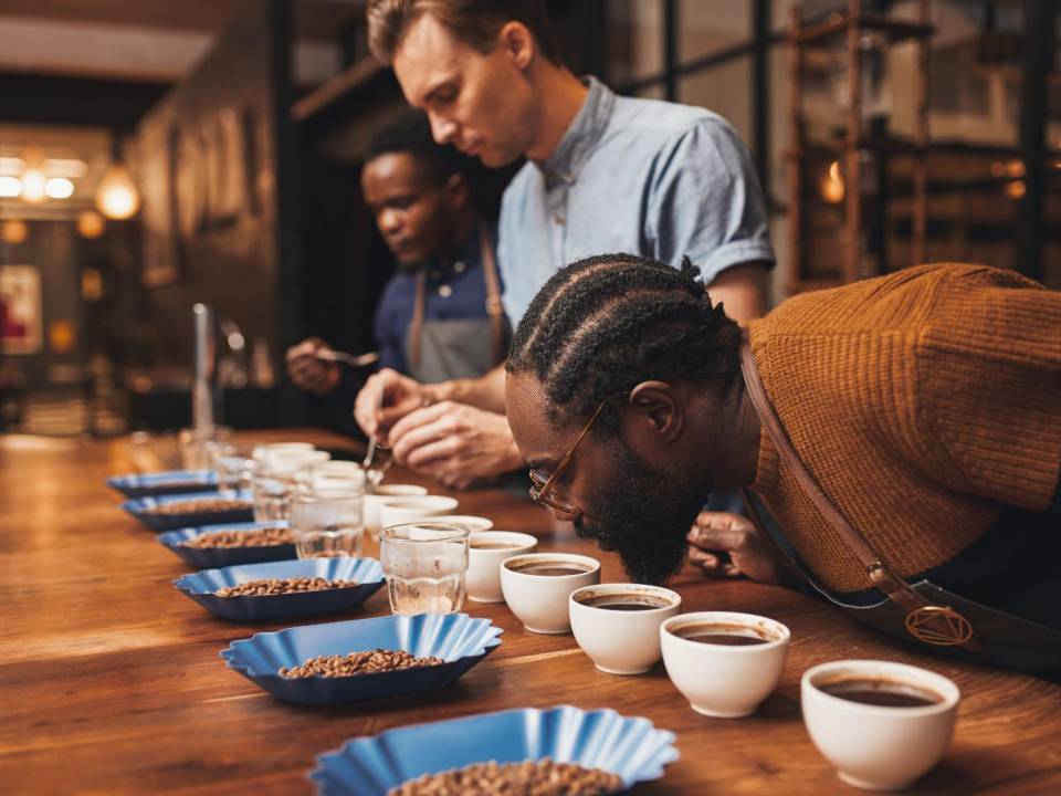 <i>Durante este certamen, productores de café de diferentes regiones presentan sus mejores lotes, los cuales son evaluados por un panel de catadores expertos.</i>