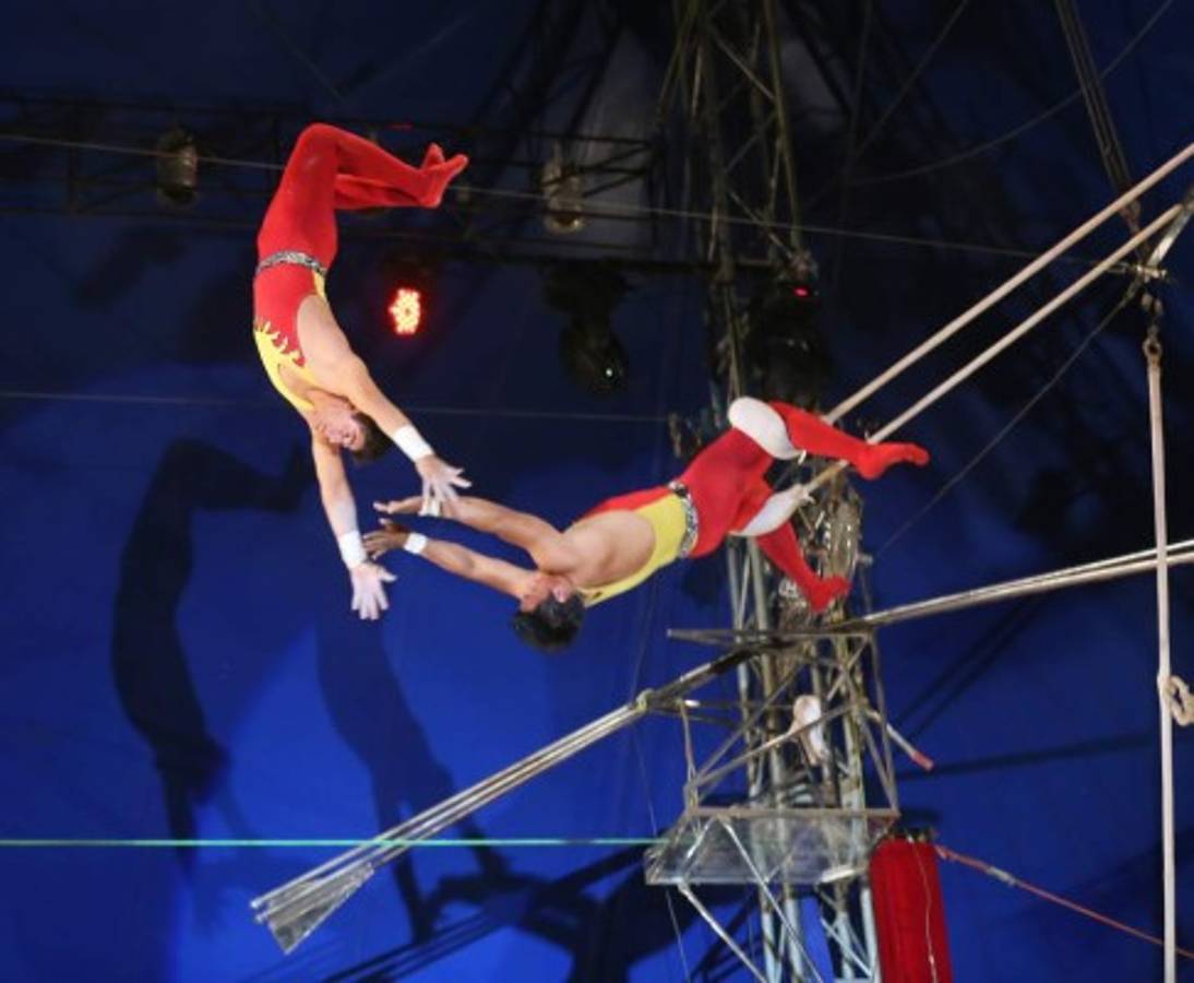 Do Portugal, un circo cinco estrellas