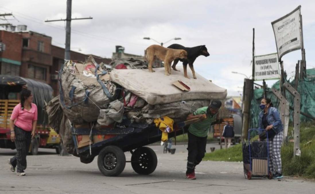 Las mejores fotos de la semana en América Latina  