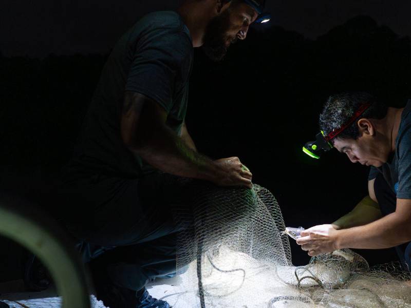 Phillip Sánchez (ext. izq.) y Víctor Bravo, científicos del Instituto Smithsoniano de Investigaciones Tropicales, en el Lago Gatún durante labores nocturnas.