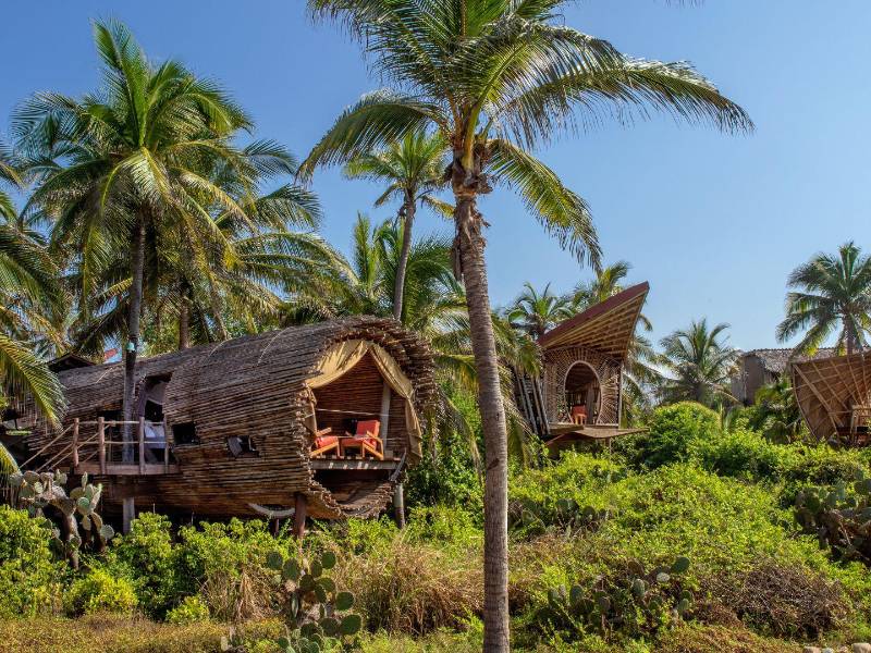 En el resort Playa Viva en la costa del Pacífico mexicano, las vistas a la playa están enmarcadas por vegetación nativa como la uva de mar. (Avablu, Ryan Forbes)