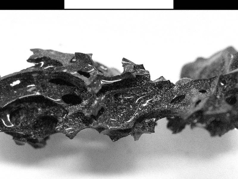 Se halló un fragmento de vidrio orgánico en el interior del cráneo de una víctima de la erupción del Vesubio en el año 79. (Pier Paolo Petrone)