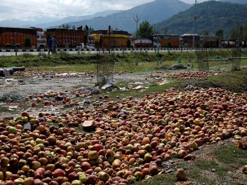 Manzanas podridas tiradas junto a una carretera en Cachemira, cerrada tras un deslizamiento de tierra.