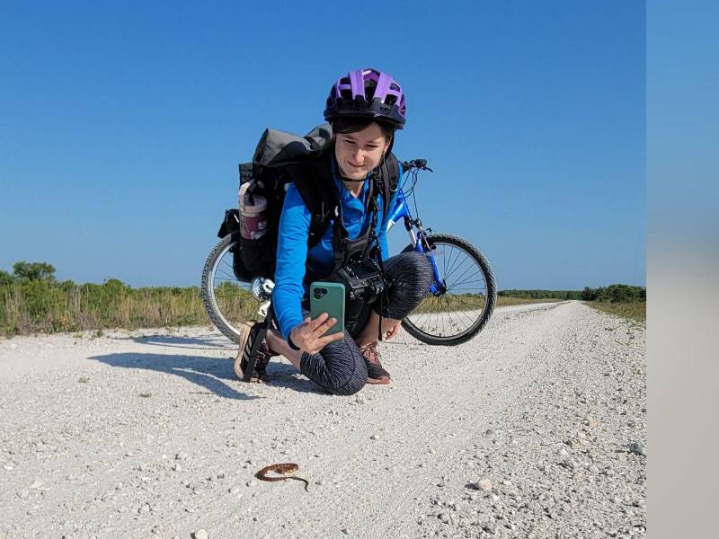 Observaciones enviadas a iNaturalist se han usado en más de 5 mil artículos revisados por pares.