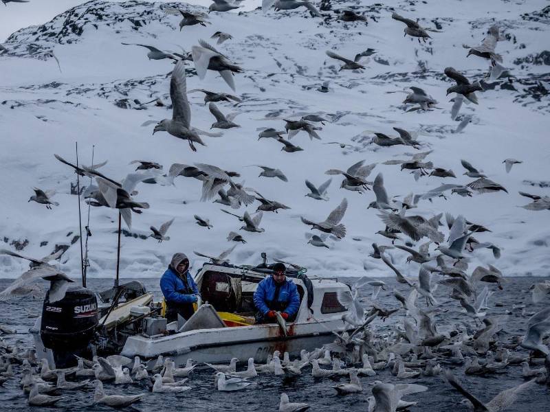 La economía de Groenlandia se basa en la pesca y depende de Dinamarca para obtener cientos de millones de dólares cada año.