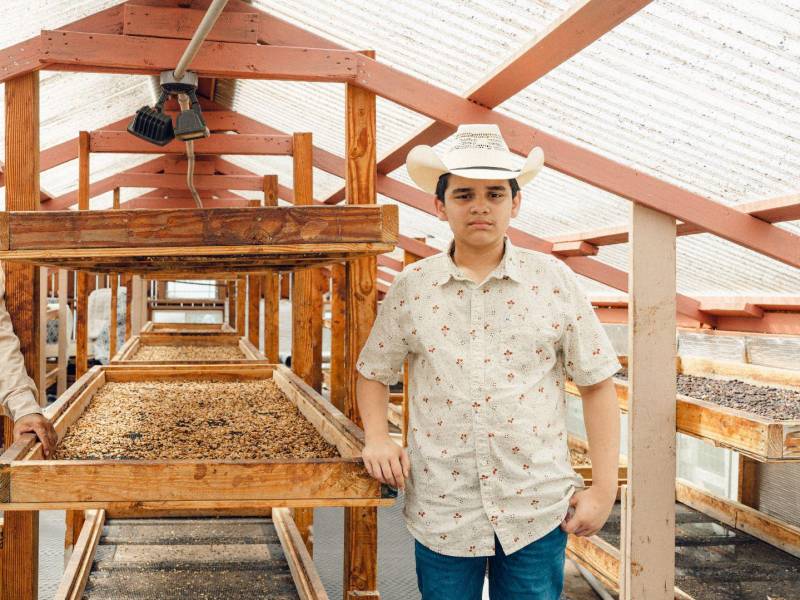 Armando Rodríguez (izq.) llegó a EU de niño. Opera una finca cafetalera con su familia, incluyendo a su hijo Elías. (Michelle Mishina Kunz para The New York Times)