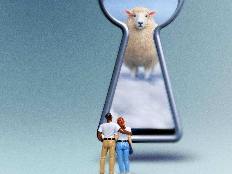 Compartir la cama no siempre es fácil, pero puede mejorar con algunos ajustes simples.