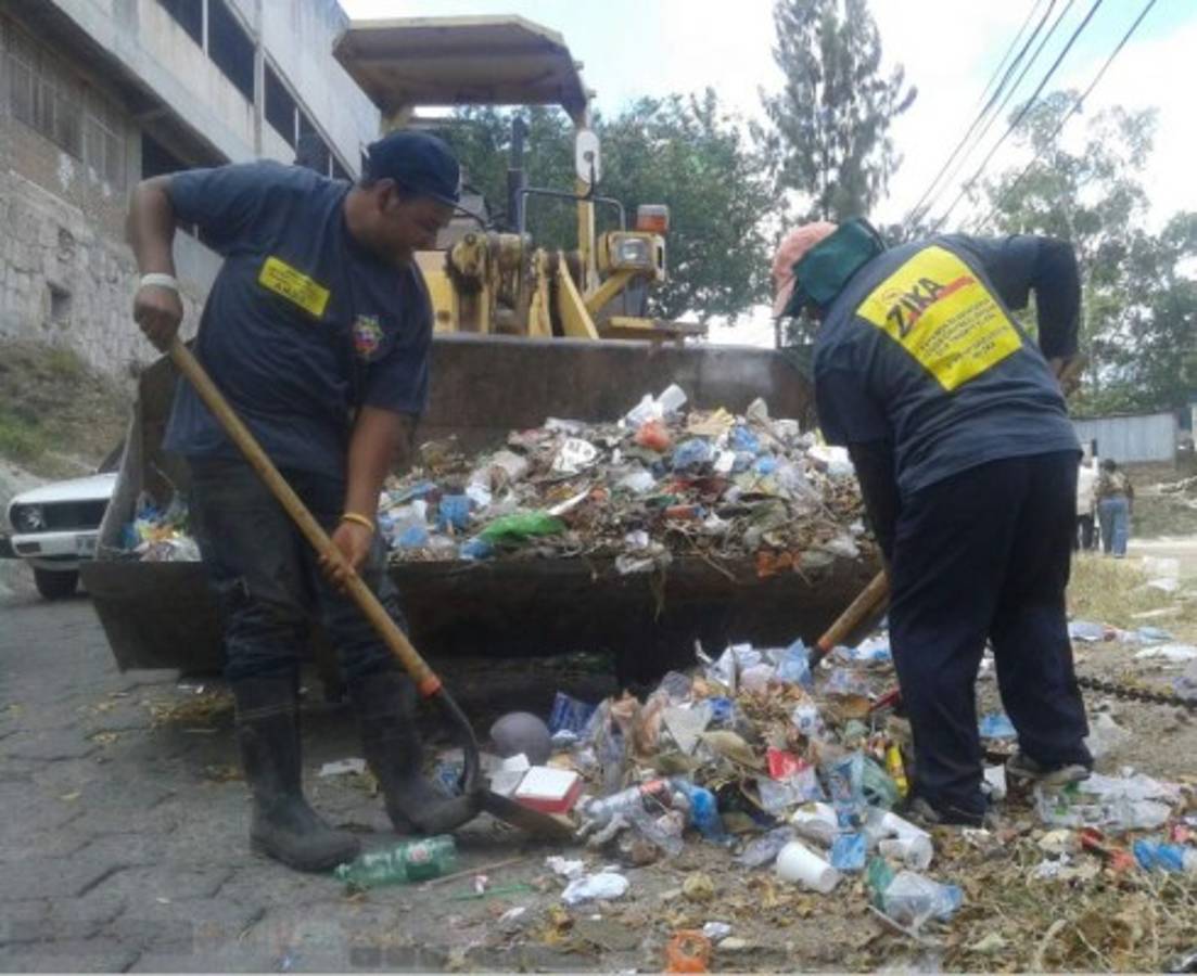 Honduras: Realizan operativos de limpieza contra el zika en colonias de la capital