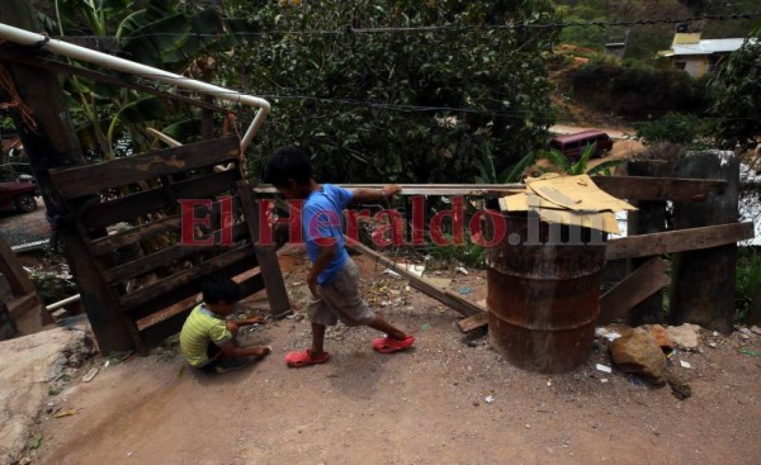 Venden leña, cuidan a sus hermanos o ayudan en casa: los niños que dejaron las escuelas por el covid