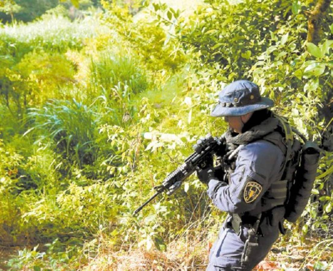 Honduras: Tras la cacería de coyotes