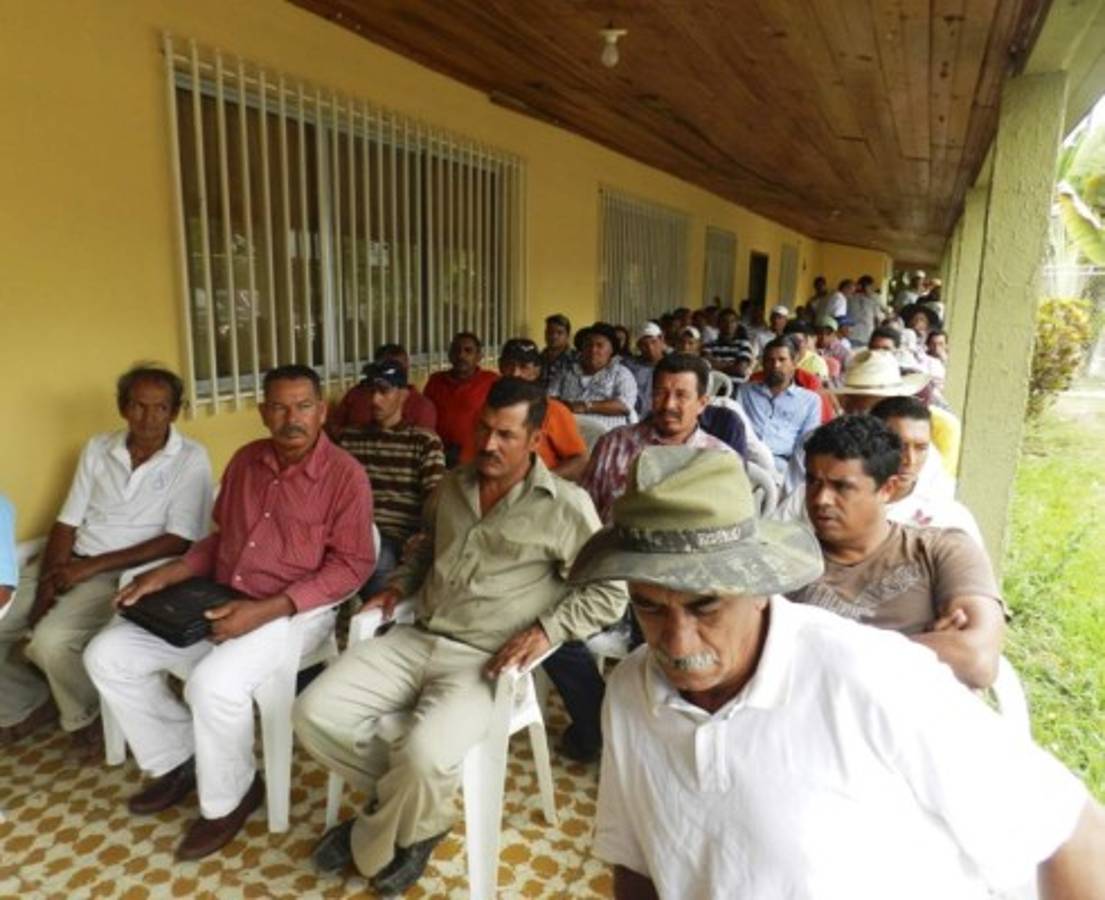 Juticalpa y Catacamas producen el 59% de los granos básicos de Olancho