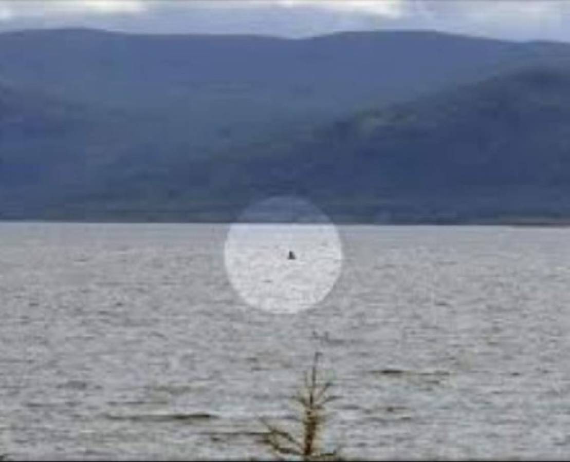 El monstruo del Lago Ness podría ser un simple pez gigante