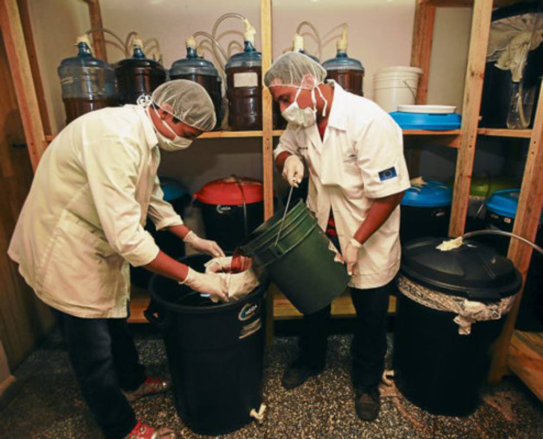 Vinos con el sabor a Danlí