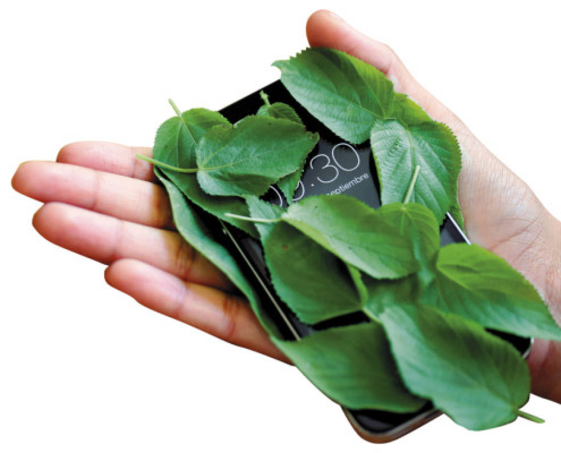 Eco smartphones