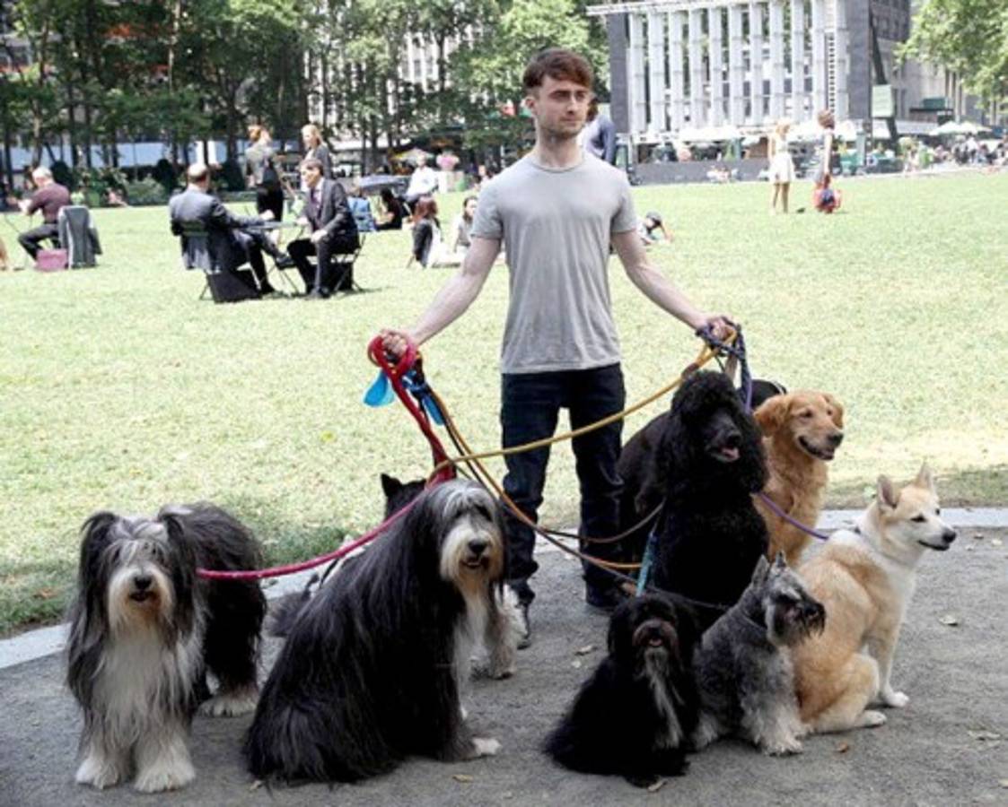 Daniel Radcliffe el paseador de perros