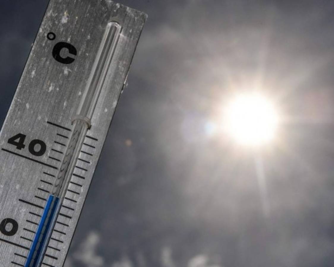 Estudio: es poco probable que altas temperaturas frenen al Covid-19