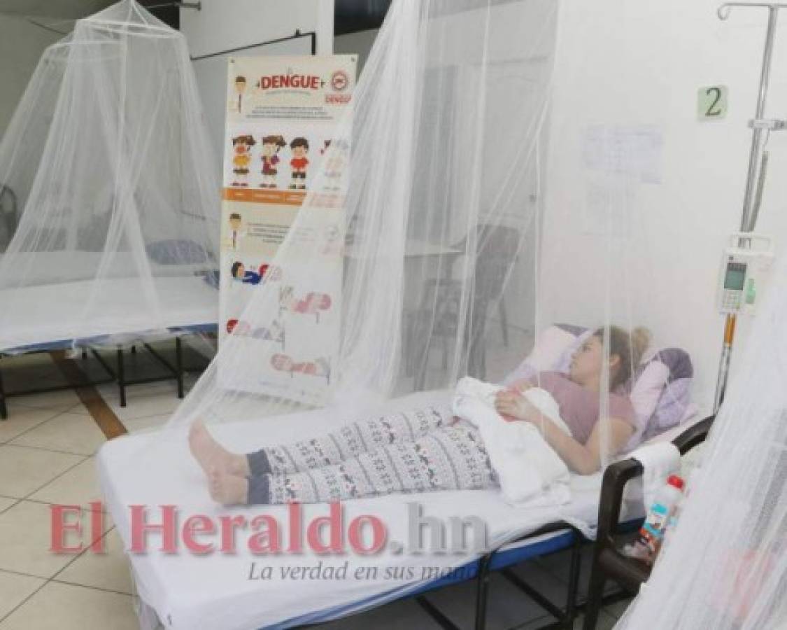 ¡A eliminar criaderos! La capital en línea de alerta por el dengue