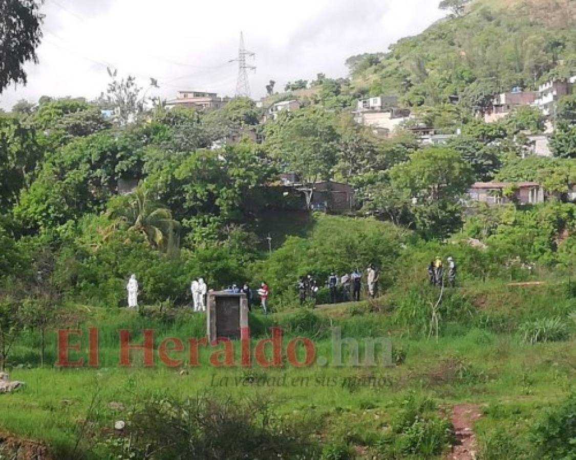 Hallan dos cadáveres ocultos en la maleza en la colonia Estados Unidos