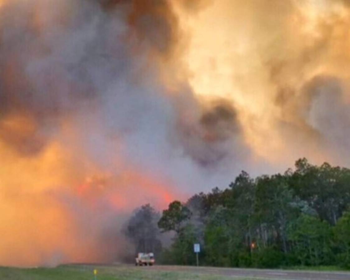 Cientos son evacuados por incendios forestales en Florida