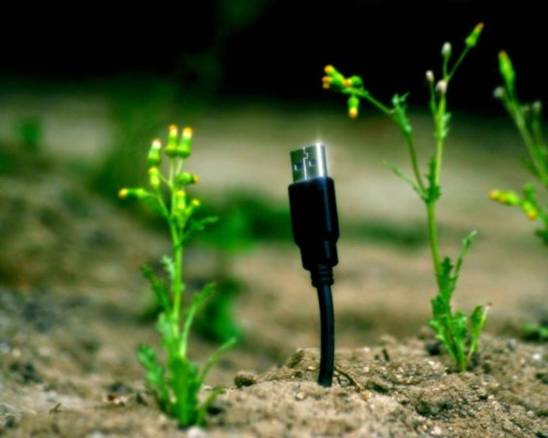 La ruta tecnológica de los recursos naturales