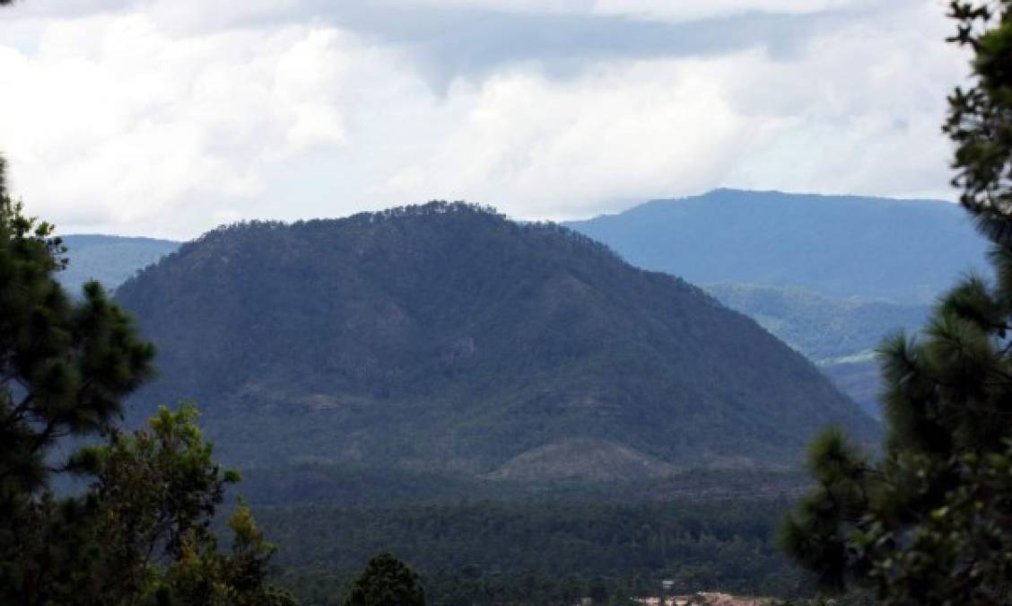 Accidente aéreo sucedió en una reserva biológica de Honduras