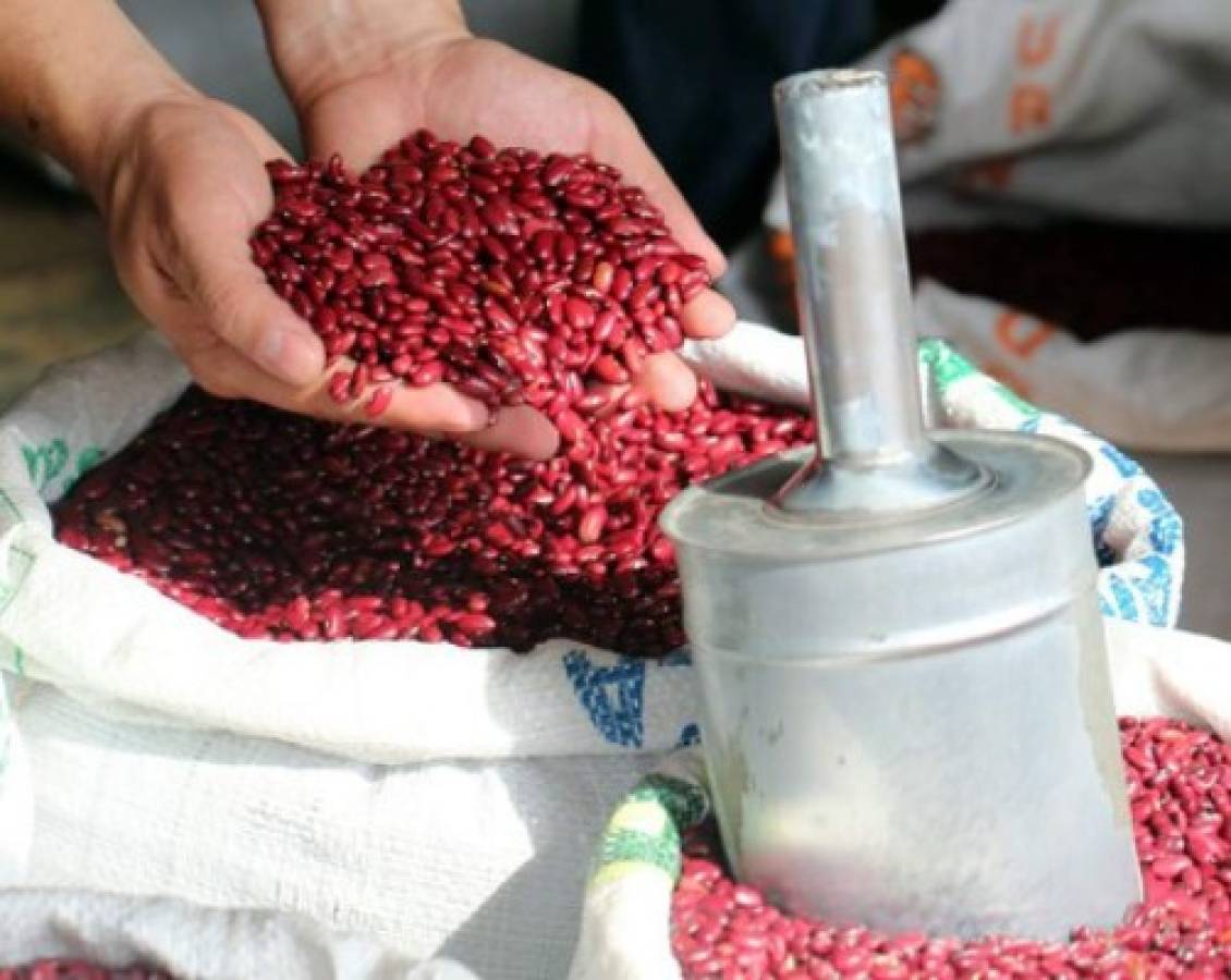 En mercados de la capital de Honduras, el frijol rojo sube a L 65.00 las cinco libras