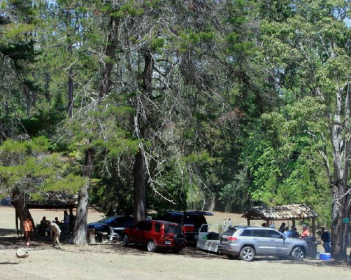 El Parque Aurora es otro de los atractivos de la ruta de Amarateca.Foto: Alejandro Amador/EL HERALDO