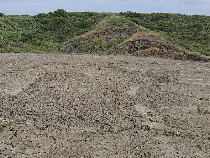 Gregorio iba a ser enterrado bajo esta tierra removida, donde fueron sepultadas al menos 35 personas en febrero de 2026. Los trabajadores dicen que son “lotes ecológicos”. Fotografías tomadas en febrero y mayo de 2026.
