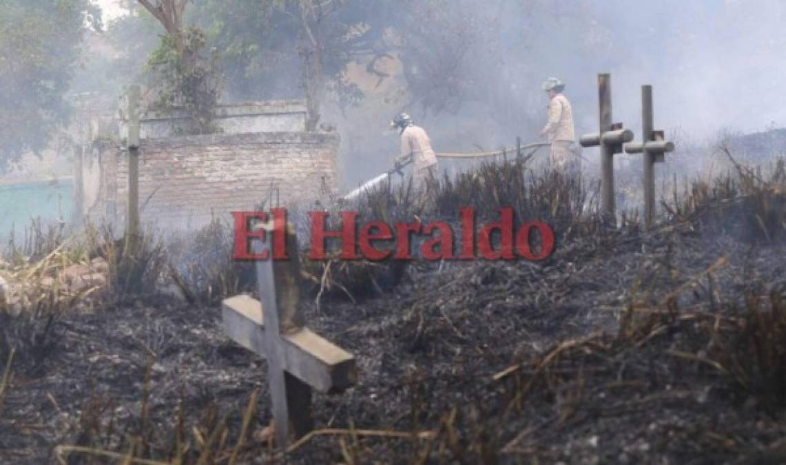 Fotos: Así fue el voraz incendio que consumió varias tumbas del cementerio Sipile en Comayagüela