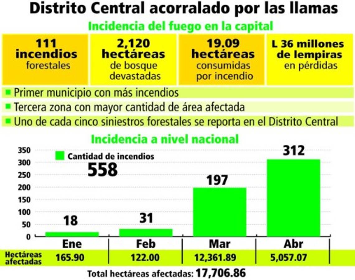 Devastado bosque capitalino