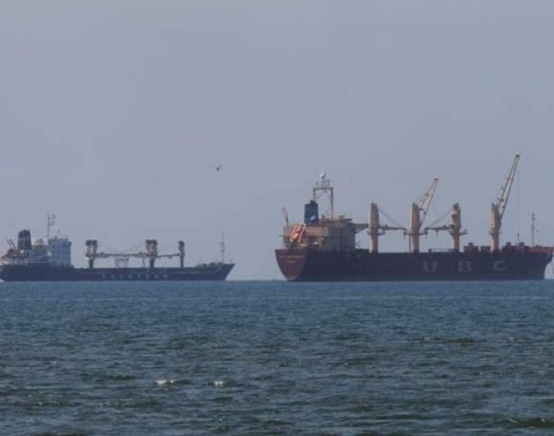 Llegan a Honduras frijoles etíopes que empresarios venderán al gobierno