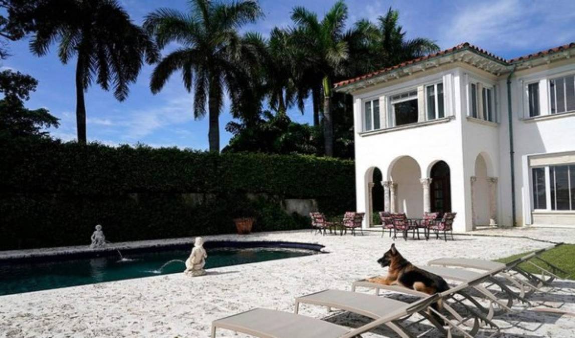 El perro más rico del mundo vende su casa en Miami, así vivía en la lujosa mansión (FOTOS)