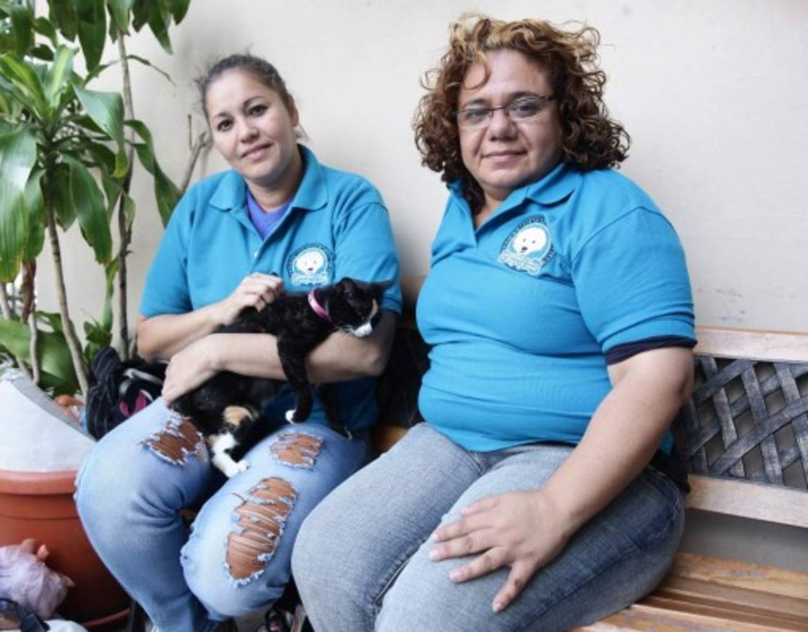 Los animales también merecen respeto