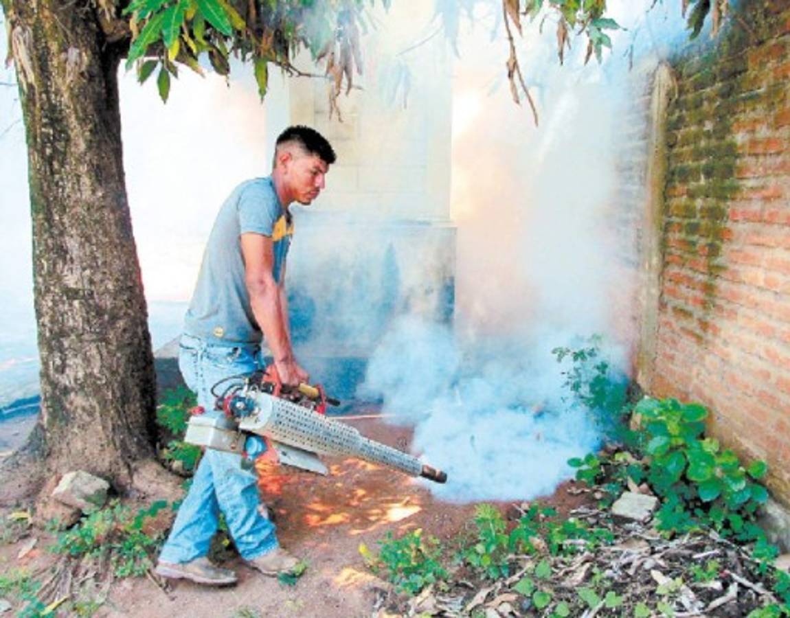 Honduras: Masiva campaña para erradicar mosquito