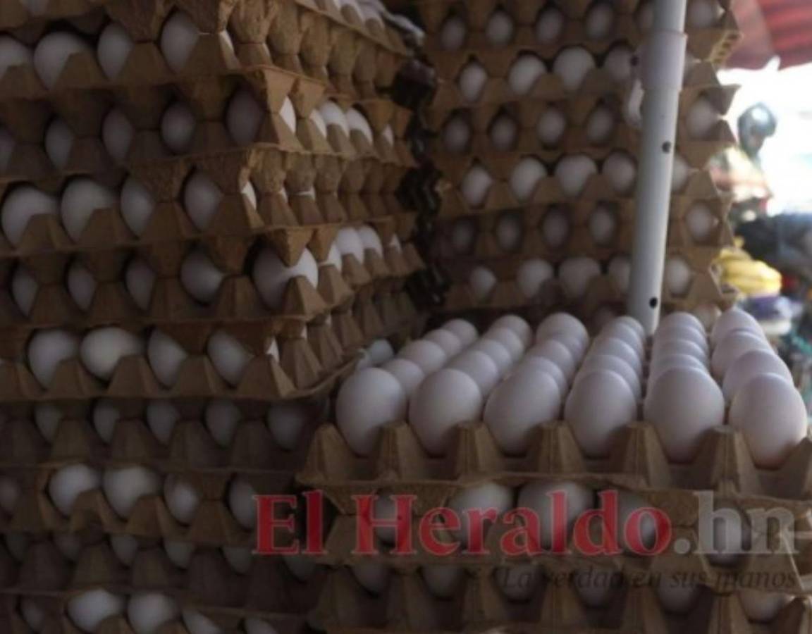 Precio del cartón de huevos aumentó entre 5 y 6 lempiras