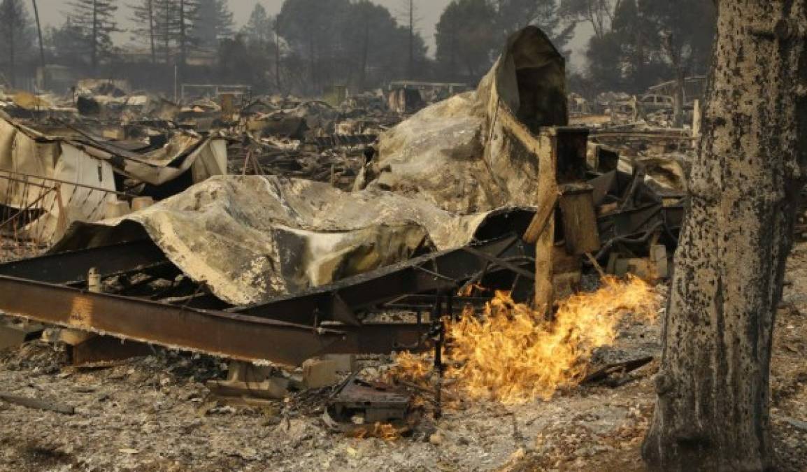Fotos: Las impactantes imágenes que dejó en incendio en zona vinícola de California, EEUU