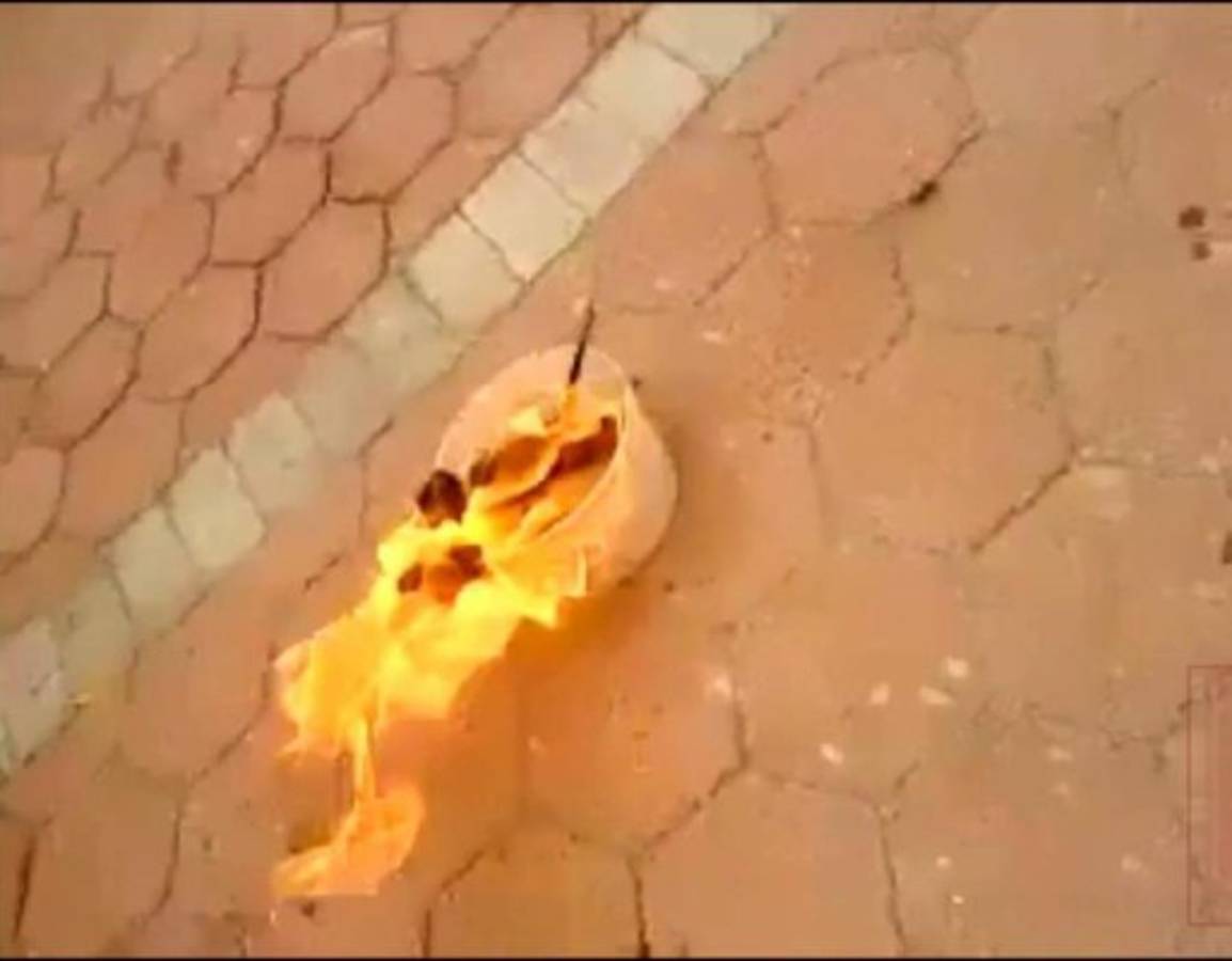 Niños graban momento en que queman vivo a un gato