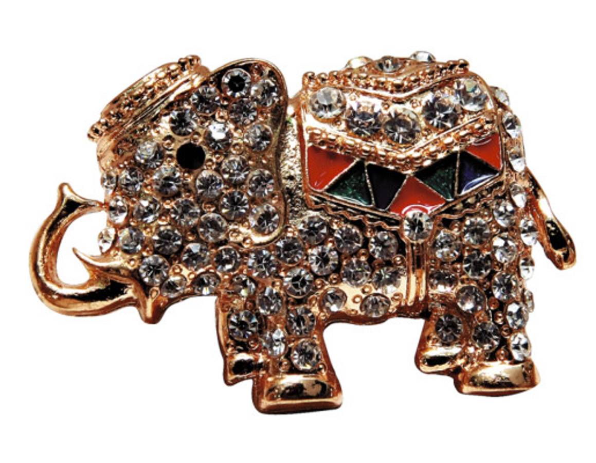 El mundo animal en todo su esplendor