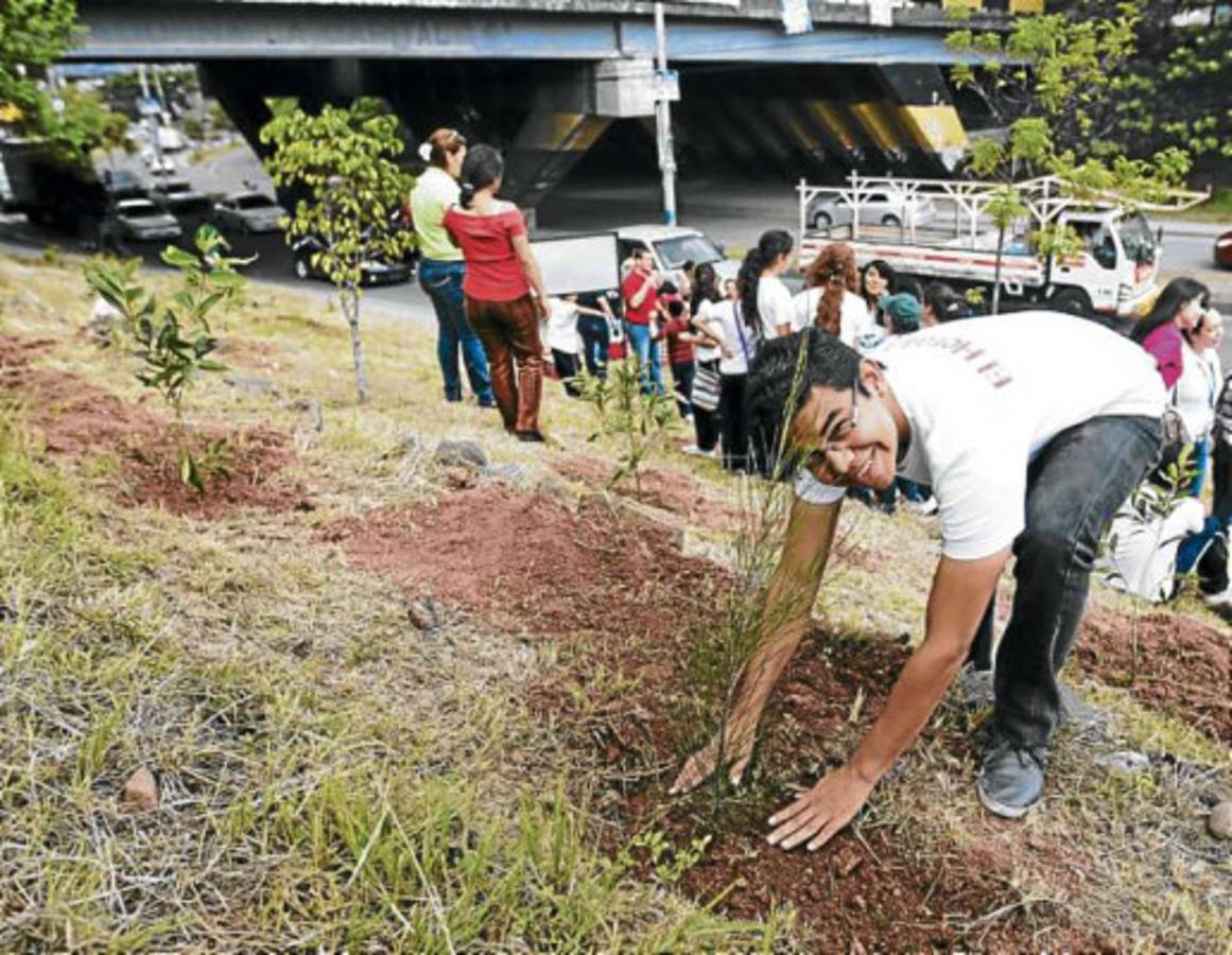 Escuelas Amigables deja su huella ecológica en la capital