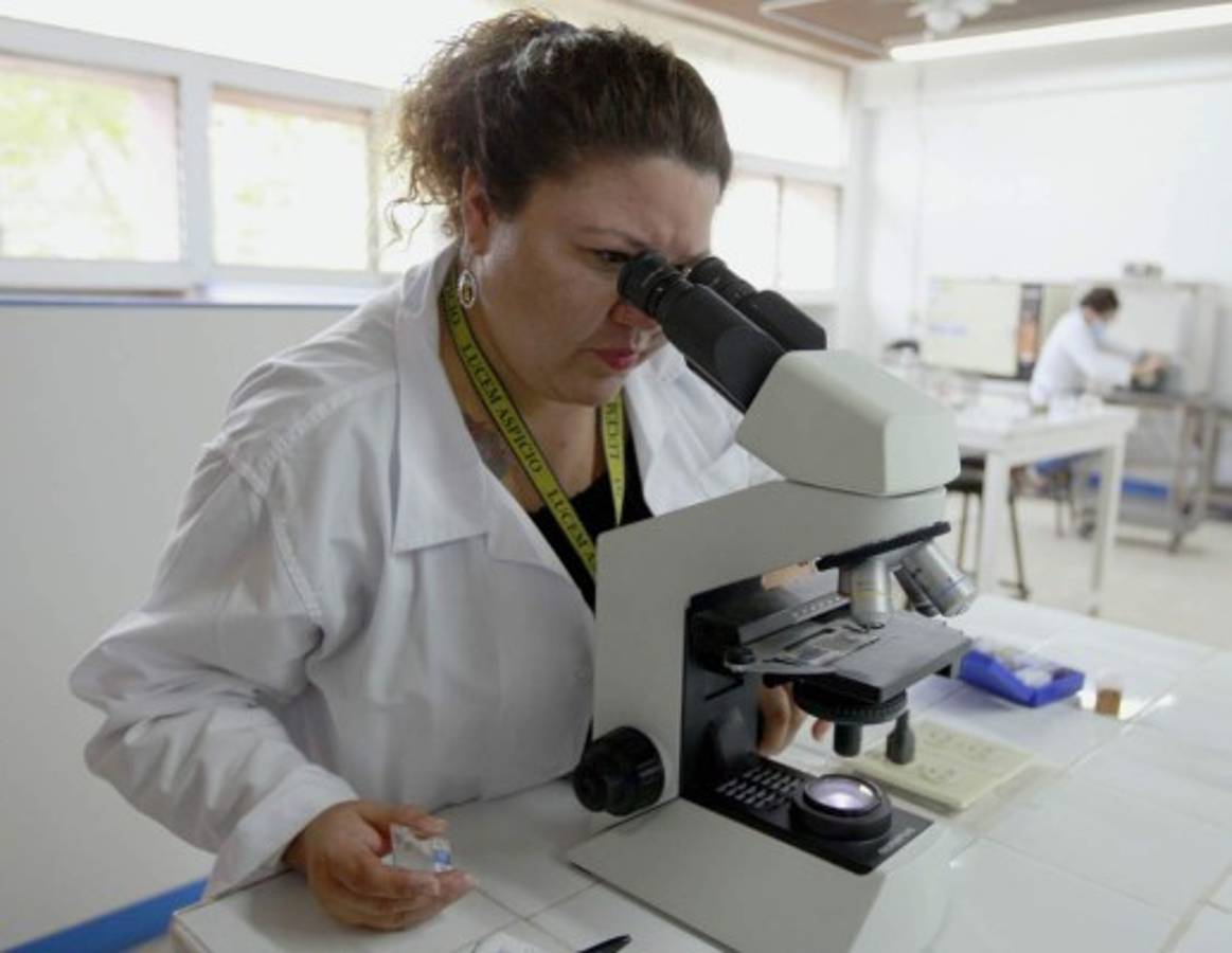 Tejidos microscópicos que prepara la UNAH serán usados por alumnos de media