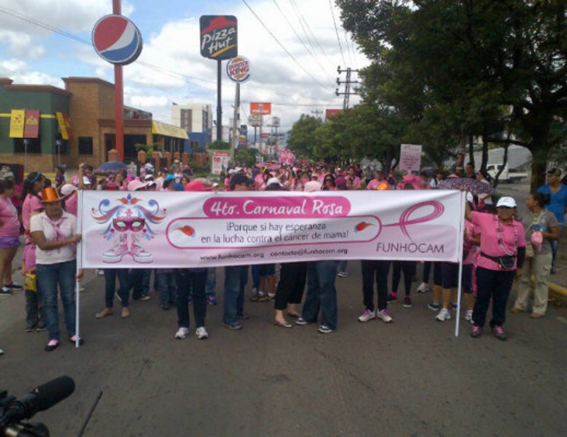 Cuarto Carnaval Rosa en Tegucigalpa