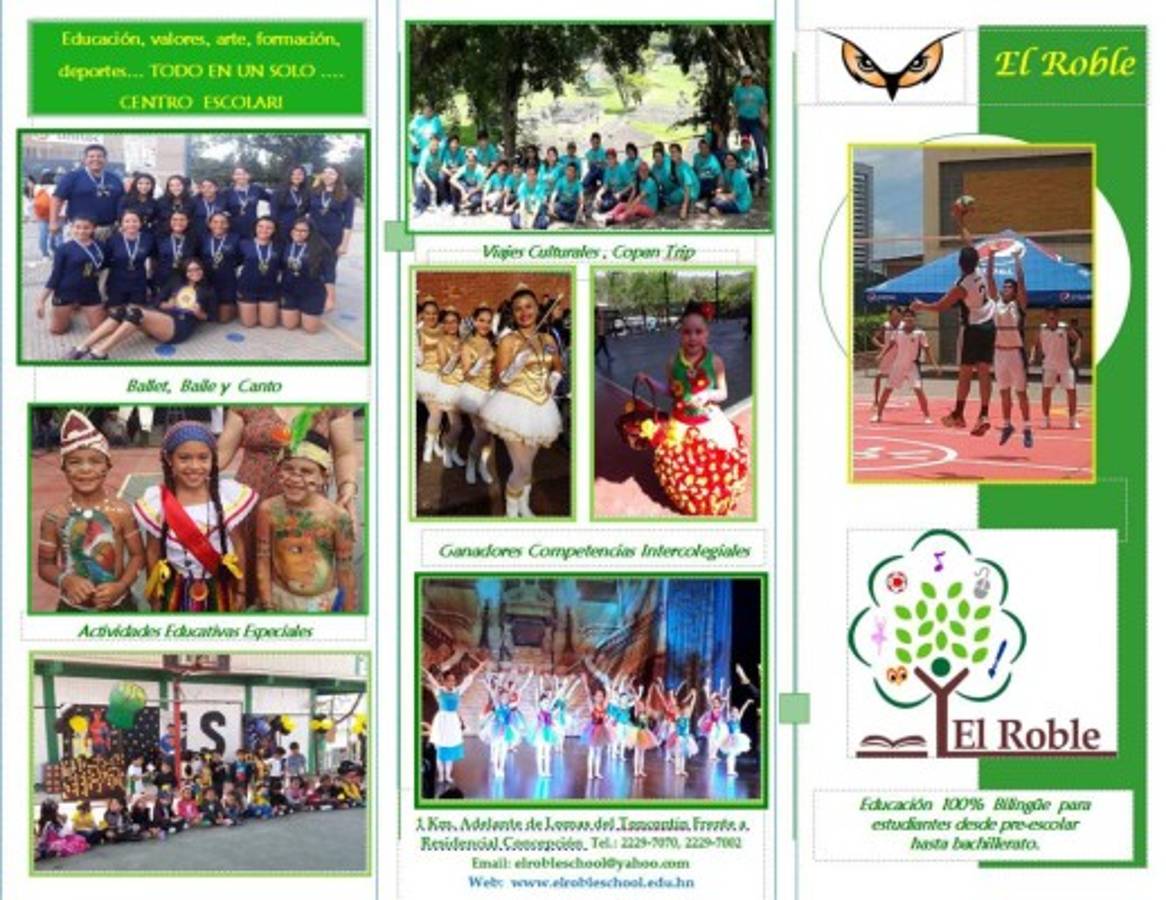 El Roble School ofrece educación 100% bilingüe este 2018; aquí su oferta académica
