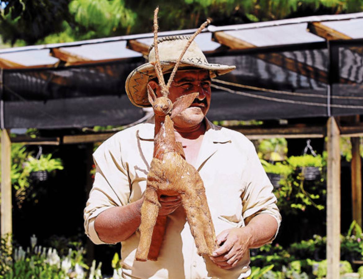 Productos del campo adornan la Navidad