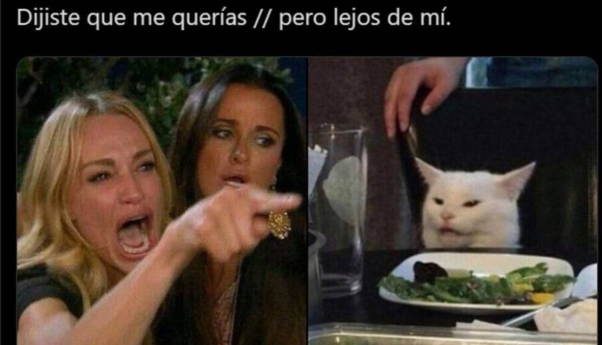 Los memes más graciosos del gato en la mesa y la mujer gritando