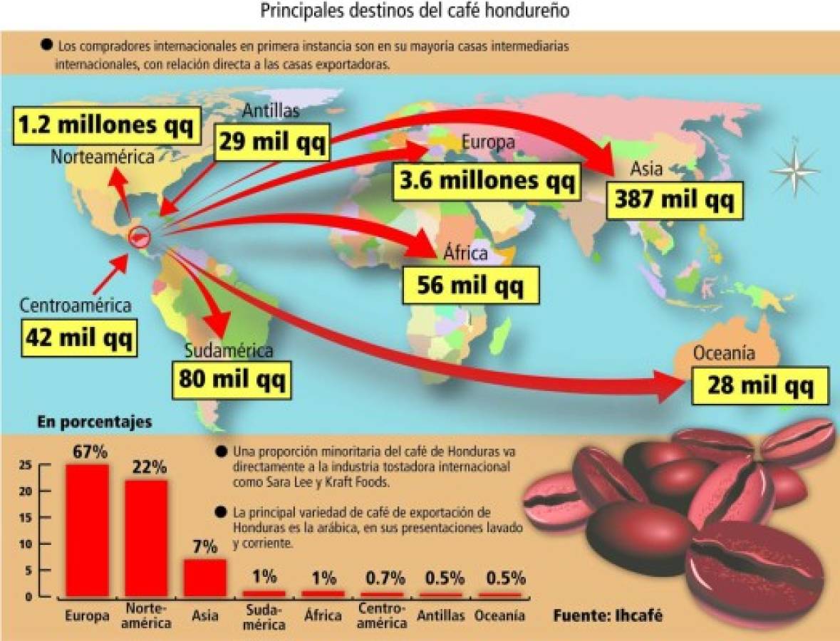 Unión Europea, el principal destino del café cultivado en Honduras