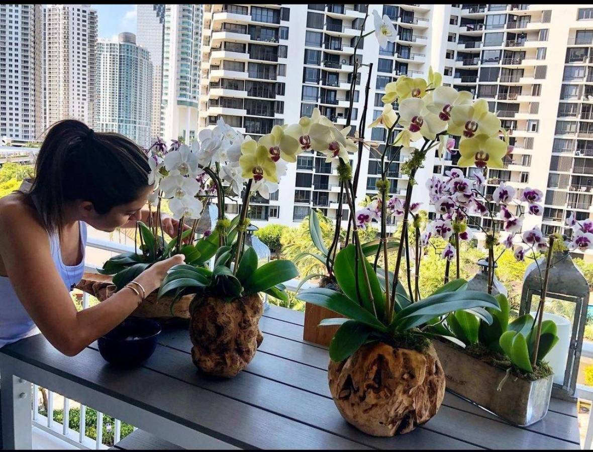 Durante la pandemia del covid-19, Maity hizo de su balcón “el balcón de las orquídeas”.