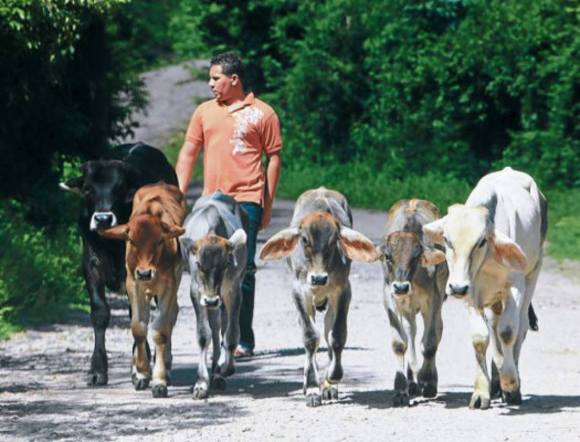 San Isidro, cuna de labradores y patrimonio cultural