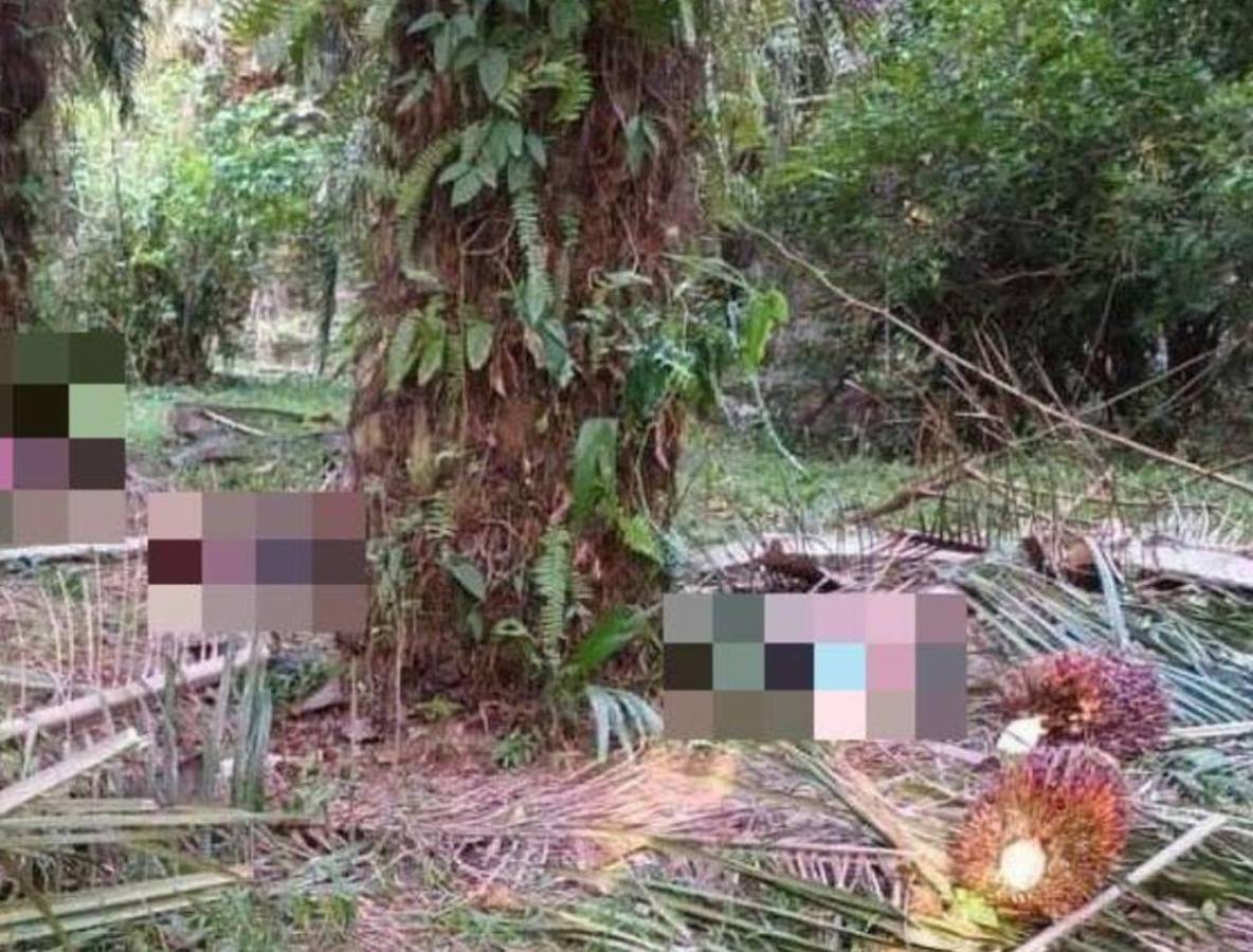 Recuento 2023: Las dolorosas masacres que enlutaron a Honduras