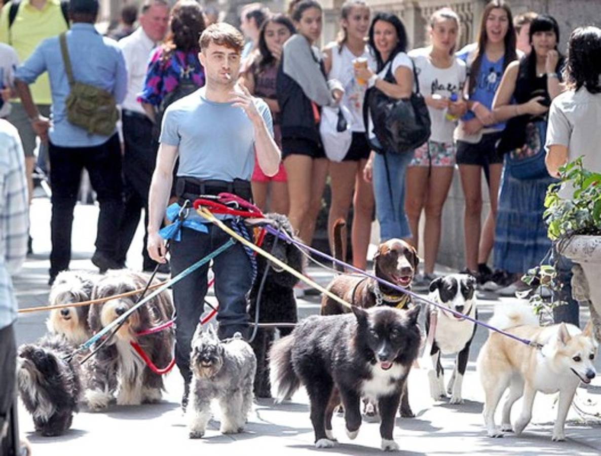Daniel Radcliffe el paseador de perros