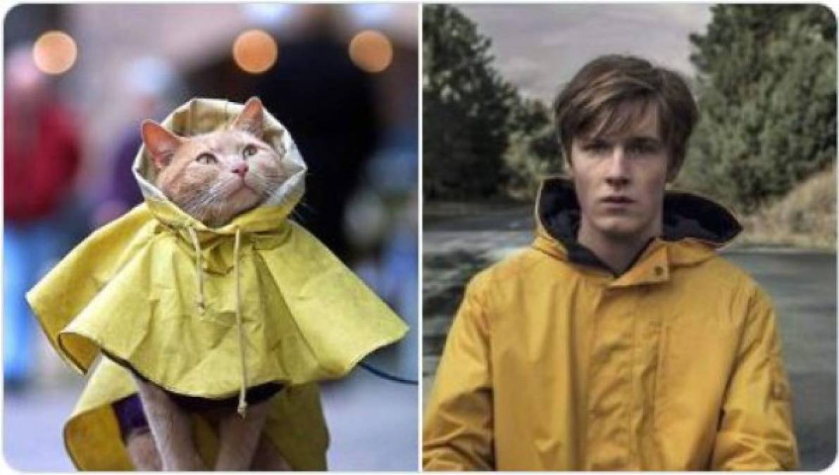 Así se verían los personajes de Dark si fueran gatos (FOTOS)